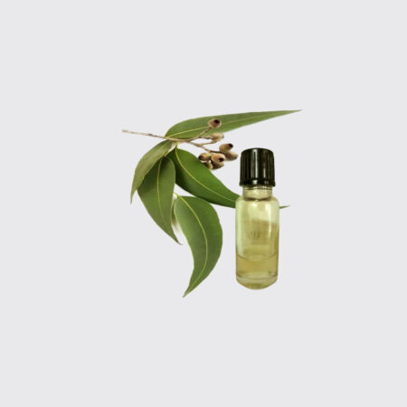 Eucalyptus Oil 60ml+30ml